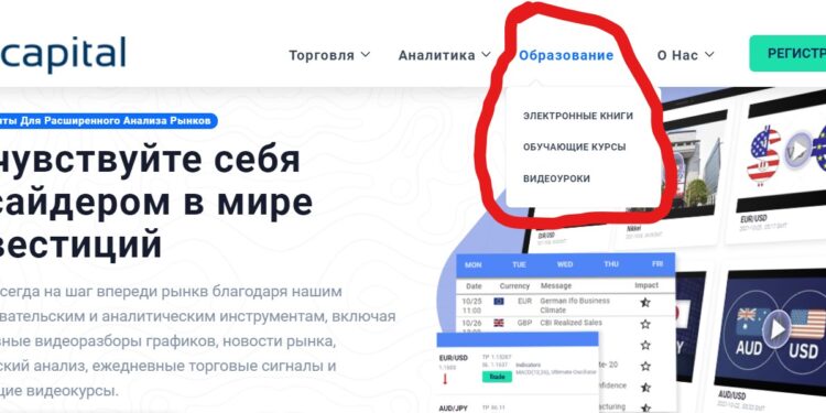 Обучение торговли от btgcapital-com