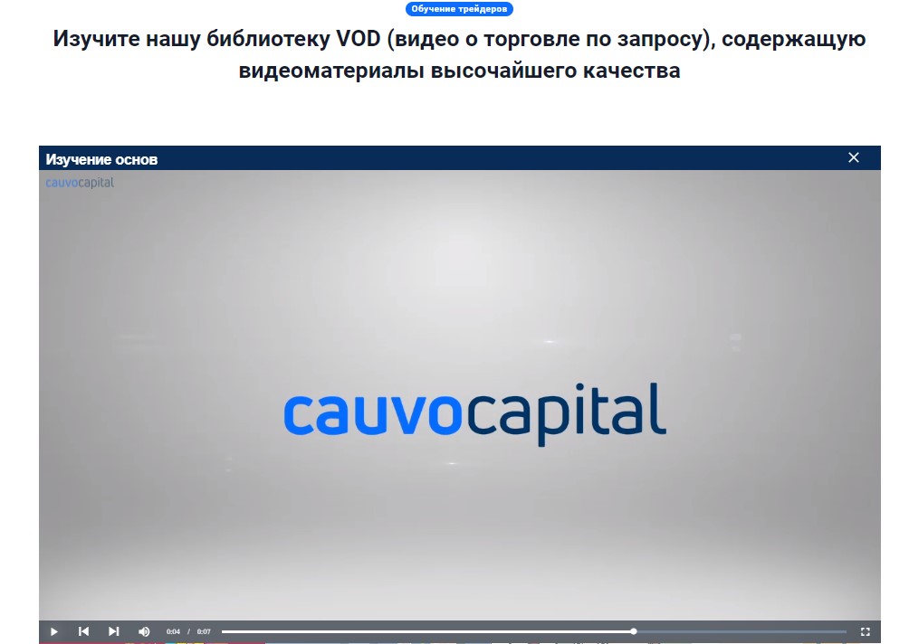 Уроки Cauvo Capital